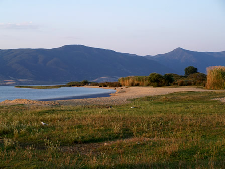 Παρακολούθηση Ειδών & Τύπων Οικοτόπων